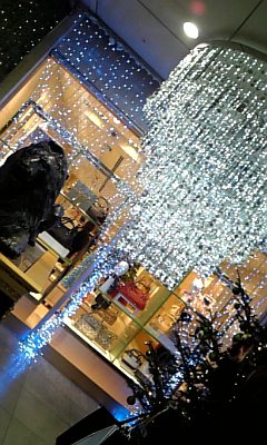 081215_134125.jpg